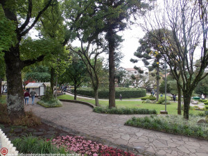 Labirinto Verde na Praça das Flores